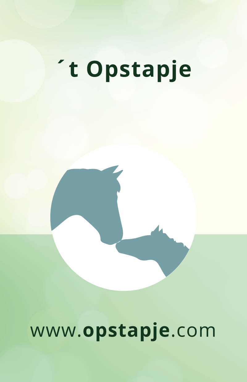 Opstapje | Coaching met Paarden