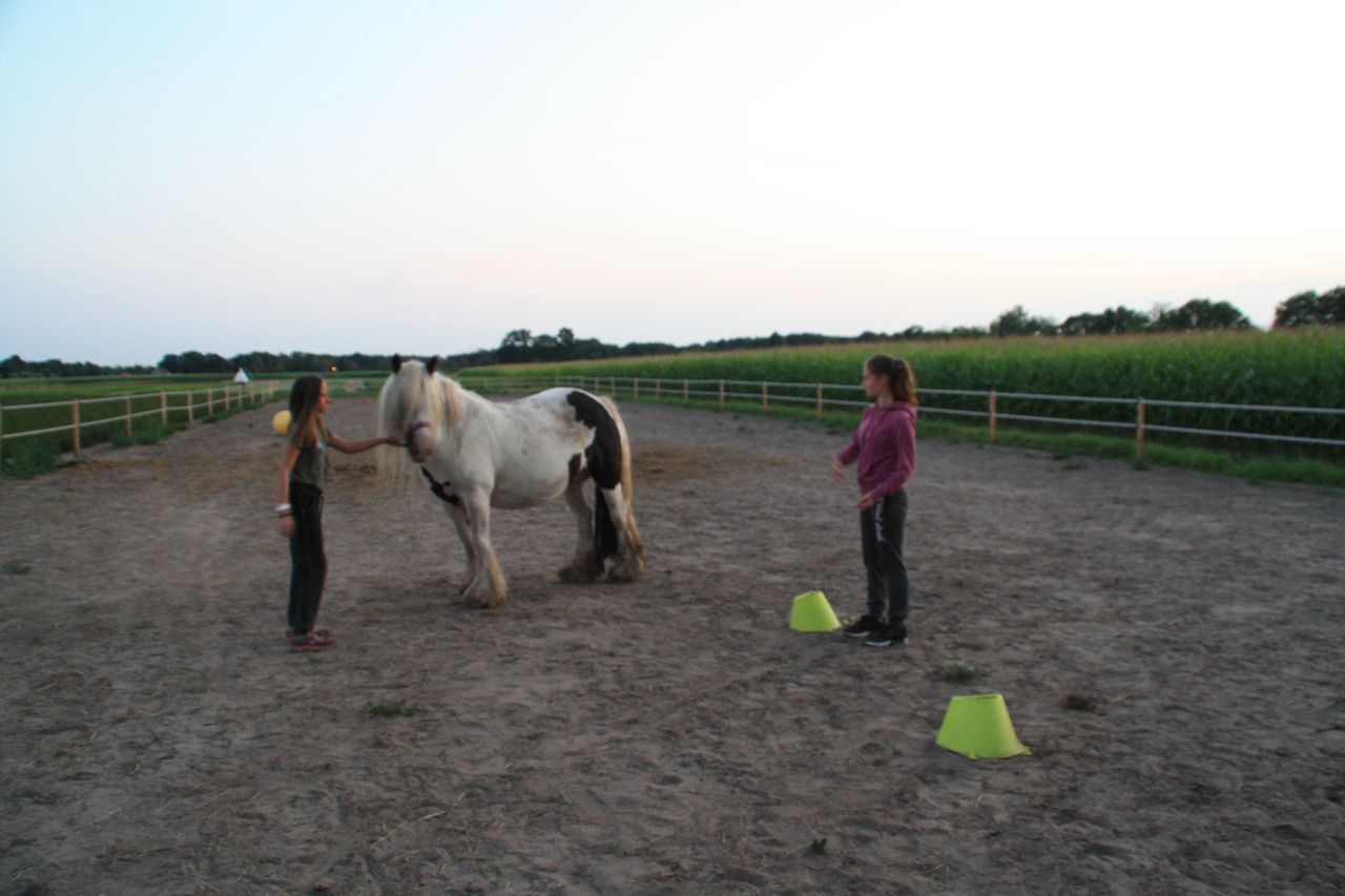 Opstapje | Coaching met Paarden - Fotogallerij